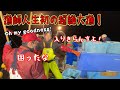 【大寒波に超絶大漁！】ありえない量の鰆が獲れた！【敦賀色浜の弥五郎定置網】