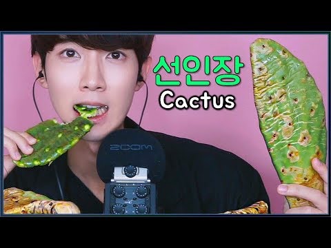 ASMR Edible Cactus real sounds Mukbang eating Show サボテン 선인장 no talking ...