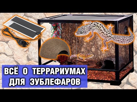 Террариум для геккона эублефара — Обустройство, размеры, оформление