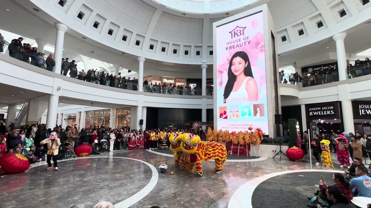 BOBA LOVING LIONS 😎