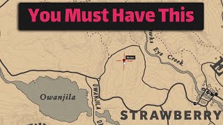 A very important item that you must obtain as soon as possible - RDR2