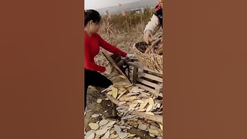 creative tool for thinly slicing sweet potatoes #shorts