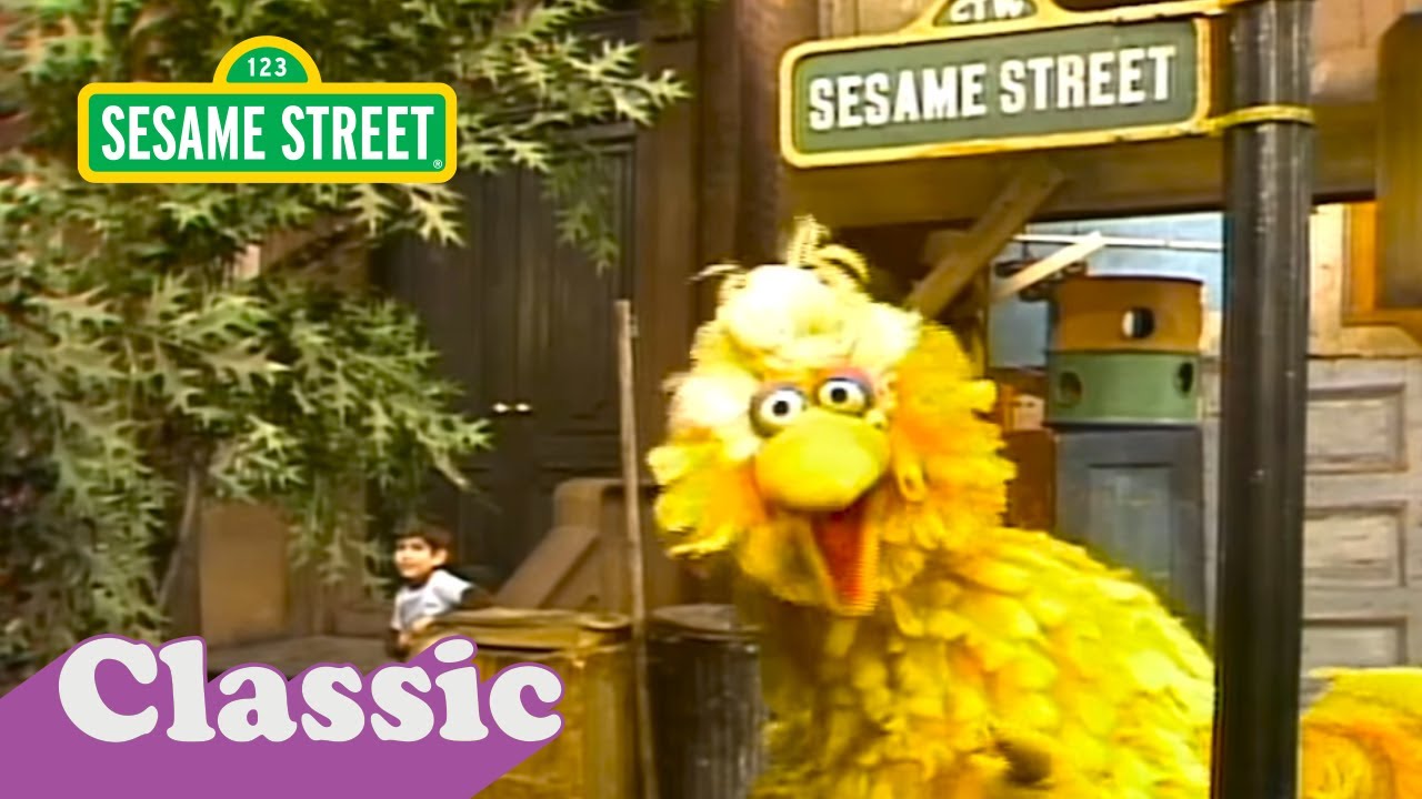 Big Bird Loves His Street Song | Sesame Street Classic - YouTube