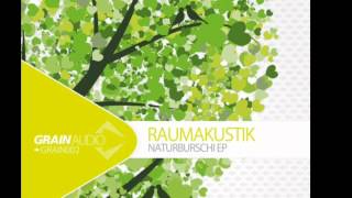 Raumakustik - Loving The Trees ( Ron Flatter Remix) | HQ |