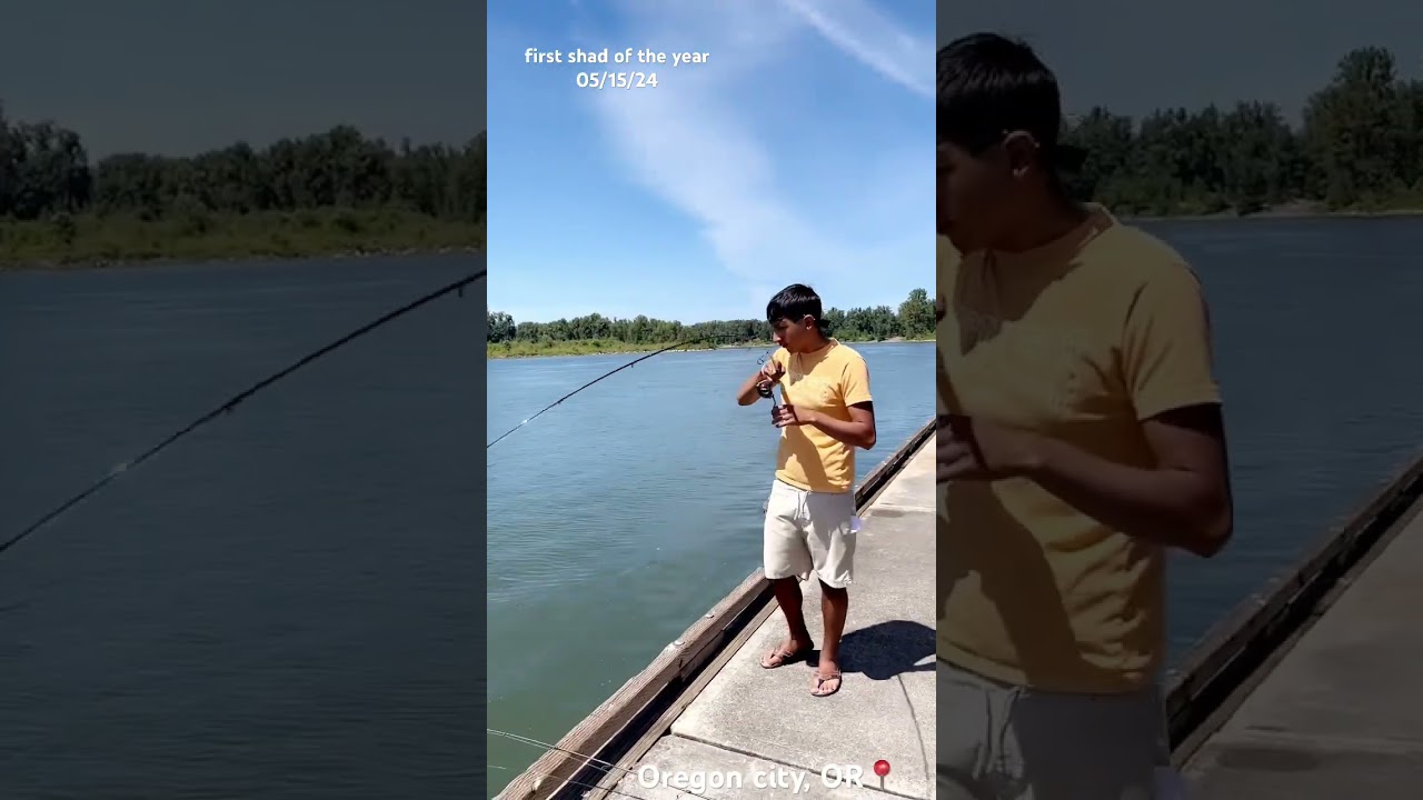 #shadfishing