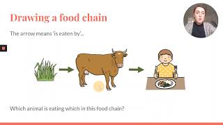 Year 2 Science: Introducing Food Chains