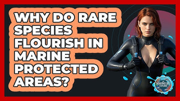 Why Do Rare Species Flourish In Marine Protected Areas? - The Marine Life Explorer