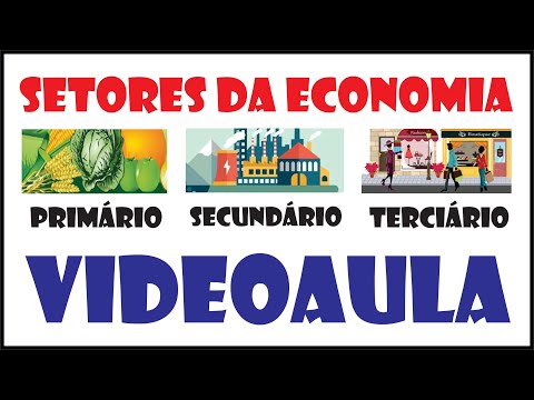 Vídeo: Qual é O Setor Da Economia: Primário, Bancário, Municipal, Privado E Financeiro