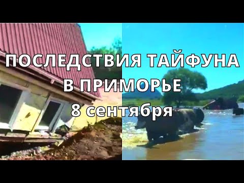 Последствия тайфуна в Приморье, повреждены 26 мостов, наводнение затронуло 186 домов