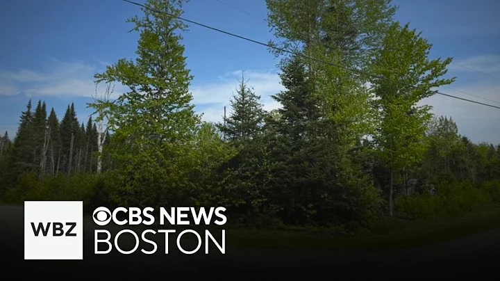 New Hampshire residents warned about property theft scam