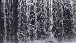 Water Flow River Video