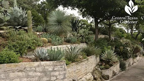 Outstanding Succulent Design |Jeff Pavlat |Central...