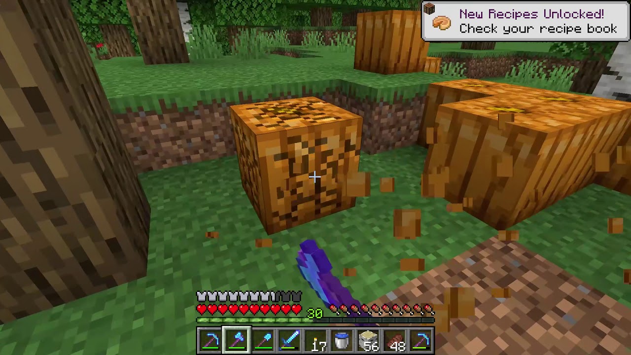 How to get Pumpkins and Pumpkin Seeds guide - Minecraft - YouTube