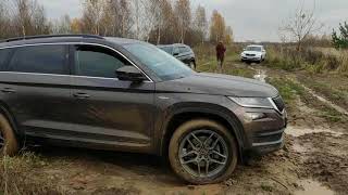 Сможет ли Kodiaq найти себе берлогу? Разведка Skoda Kodiaq на бездорожье. Пушкинский р-н.