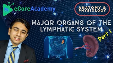 Major Organs of the Lymphatic System (Part 1 of 2) | eCoreAcademy | AJay Raj