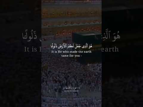 اللهم صل وسلم على سيدنا محمد بلغوا عني ولو آية المصحف راحة نفسية Quran 
