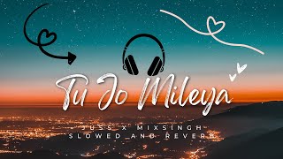 Tu Jo Mileya (Lo-fi Version) | Juss x MixSingh | New Punjabi Song 2025 | Latest LoFi Songs 2025