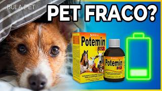 Potemin B12 Oral - Seu Pet Está Fraco? Descubra O Poder Do Potemin B12 Transformação Surpreendente
