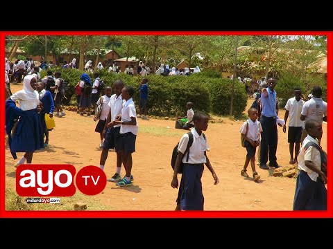 WATOTO WA KIKE 200 WAPATA MIMBA KIGOMA NA KUACHA SHULE NDANI YA MIEZI MIWILI