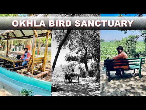 Okhla Bird Sanctuary Open Days