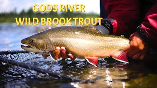Gods River Brook Trout & Northern Pike