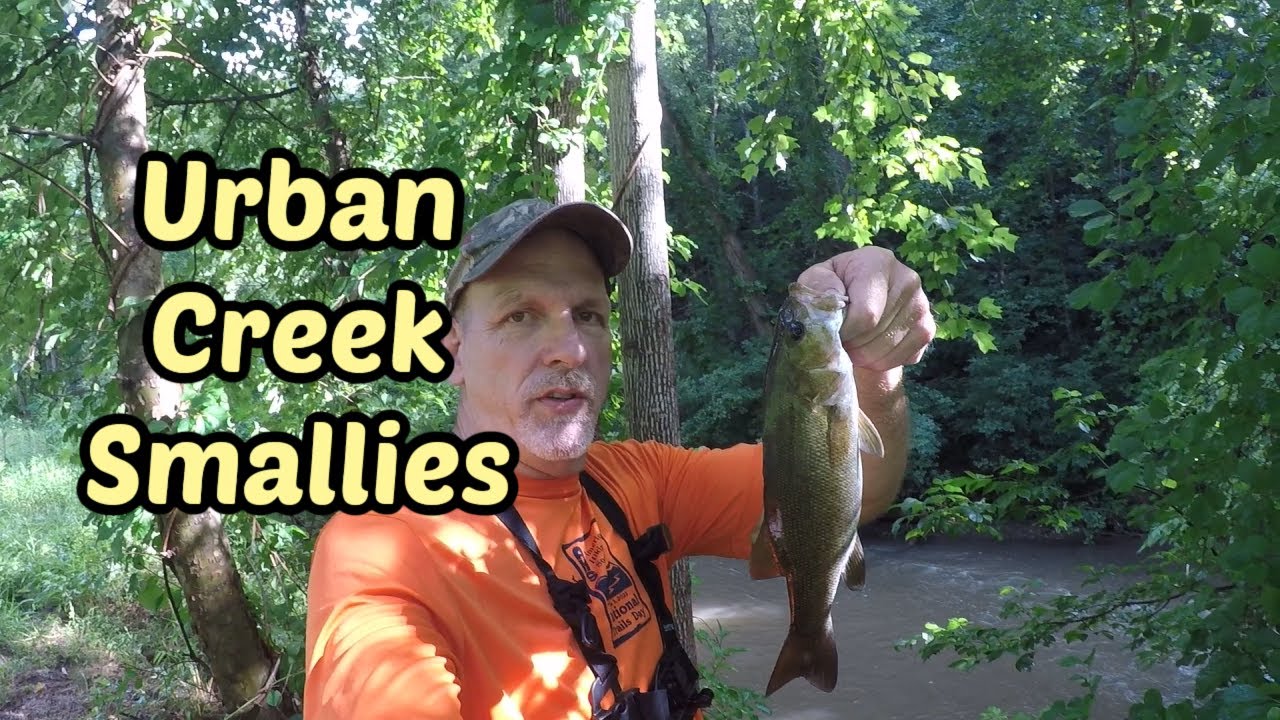 Lynchburg's BEST Kept Secret for Urban Smallmouth Bass Fishing