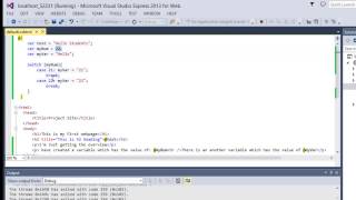 ASP NET Tutorials in Urdu Hindi part 12 switch statement