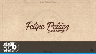 Video voorbeeld van "Amor Del Bueno, Felipe Peláez, Beto Zabaleta Y Manuel Julián - Audio"