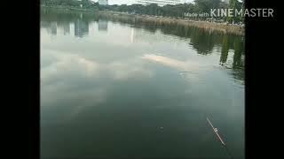 Mancing di temenin angler cewek # waduk unesa