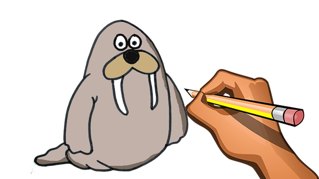 DRAWING WALRUS STEP BY STEP ON YOUTUBE