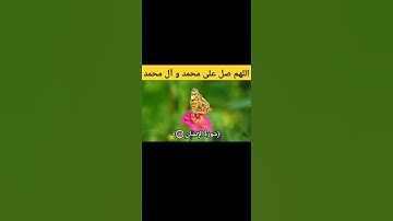 سورة الإنسان بصوت الحاج عامر الكاظمي #اللهم_صل_على_محمد_وال_محمد #القرآن_الكريم