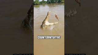 BE CROCWISE around these dangerous Salties!