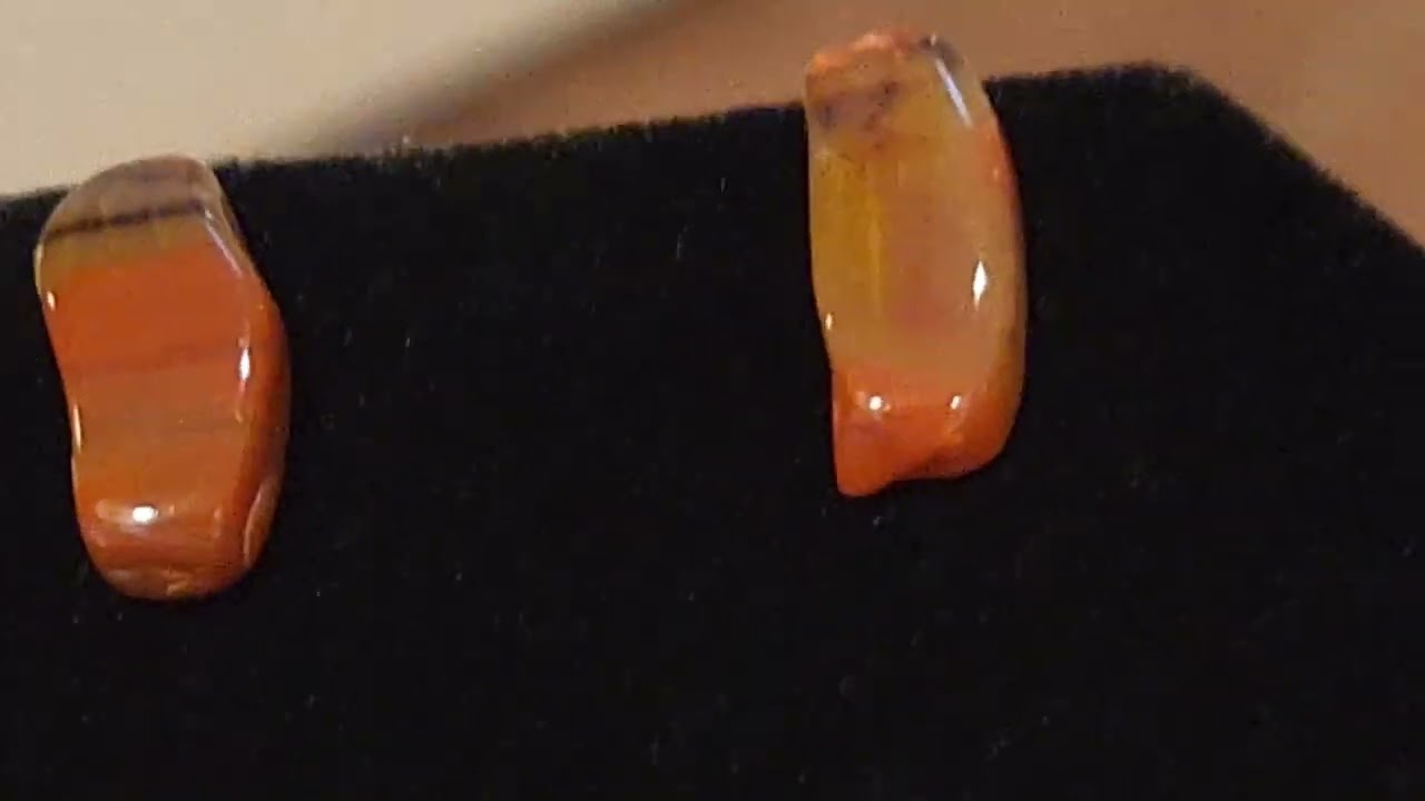 Rainbow Petrified Wood Earrings Homeade in Arizona