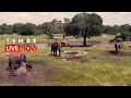 Tembe elephant park  wildlife live stream