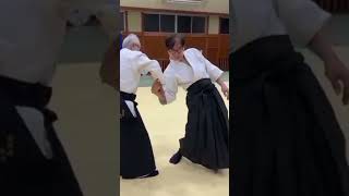 SELF DEFENCE 🐉 AIKIDO 🐉 CHIN NA Y DERRIBO 🐉 CENTRO DE GRAVEDAD 🐉