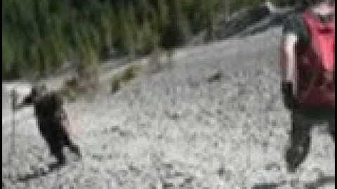Scree running on Mount Yamnuska - May, 2011