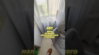 451й день из жизни малоизвестного стримера #влог #twitch #vlog #влог