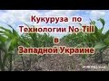 Кукуруза по Ноу-Тилл в Западной Украине. No-Till farming. [AGROTILL.in.ua]