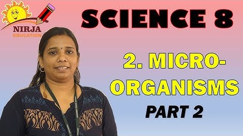 class 8 chapter 2 - class 8 science chapter 2- microorganisms : friend and foe [ part 2 ] - science