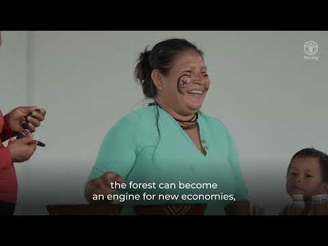 Life history of sustainable forest management in Ecuador