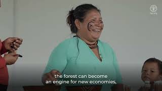 Life history of sustainable forest management in Ecuador