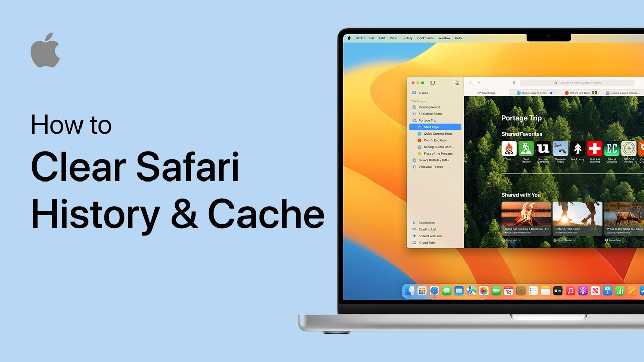 erase history safari mac