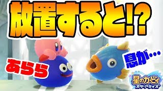 リックを放置すると…爆笑展開ｗ【リック&カイン&クー、マルク、グーイ　色々見てみたぞ！】星のカービィ　スターアライズ　つちのこ実況