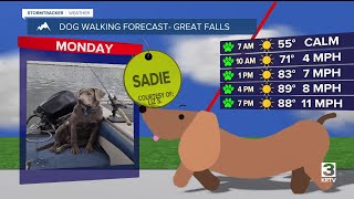 Dog-walking forecast (June 30, 2025)