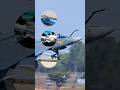 Why is the Tejas fighter jet so special for India?
