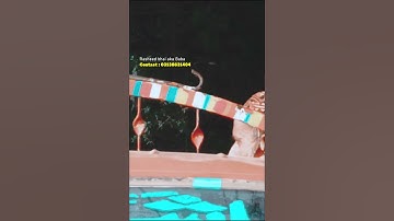 The Bollywood guy Rasheed Baba | TSC