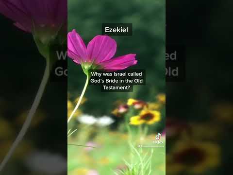 Top Questions about the Book of Ezekiel