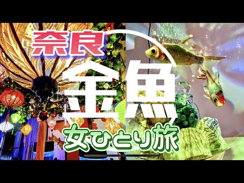 【大阪⇔別府 0泊3日】＃10(最終回)  インスタ映えスポット！奈良の金魚ミュージアム ＜女ひとり旅・車なし＞