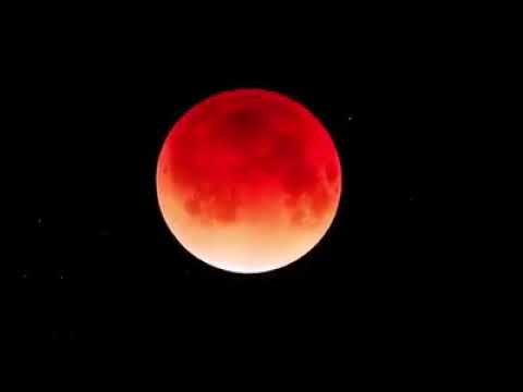 Vídeo: Olhe Para Os Memes Da Lua Vermelha