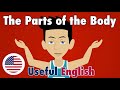 Learn Useful English: The Parts of the Body